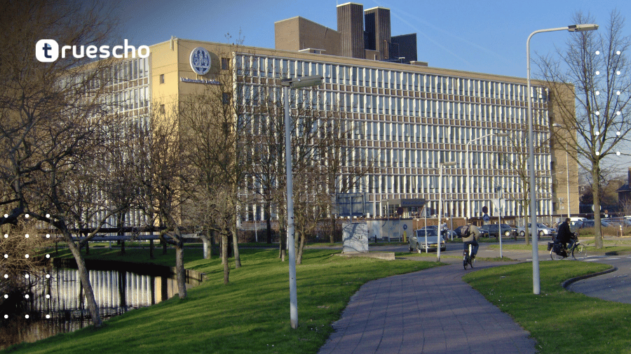 منحة ميناريفا الدراسية