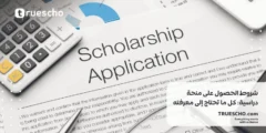 شروط الحصول على منحة دراسية: كل ما تحتاج إلى معرفته