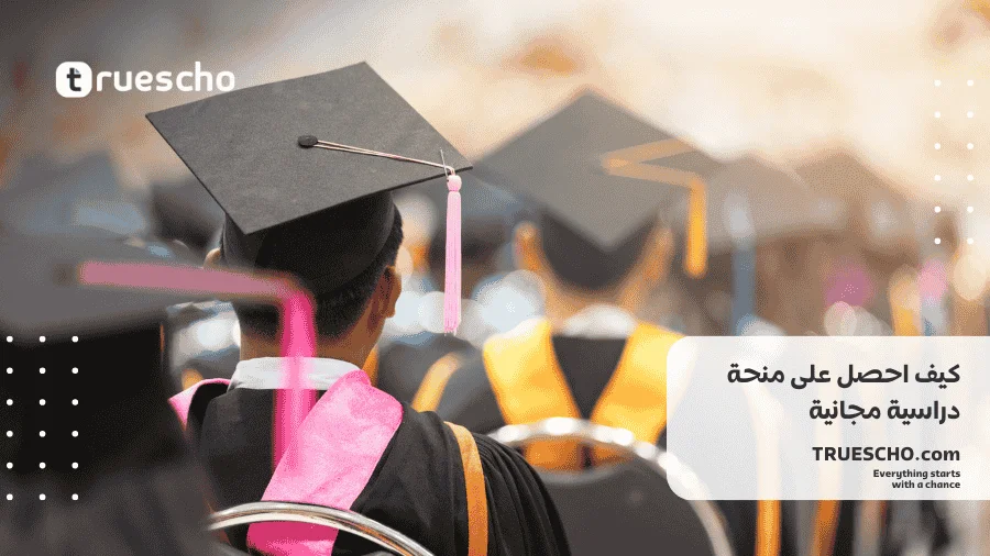 كيف احصل على منحة دراسية مجانية