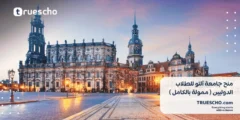 منح جامعة آلتو 2025 للطلاب الدوليين: فرصة دراسية مميزة