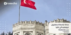 منحة جامعة اسطنبول جيليشيم 2025