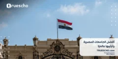 أفضل الجامعات المصرية وترتيبها عالميًا 2025