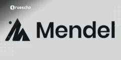 كيف جمعت Mendel 35 مليون دولار لتحسين التمويل