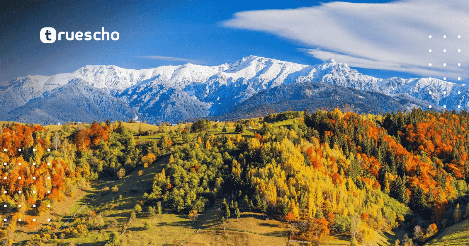 جنس الأسماء والضمائر في اللغة الرومانية