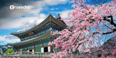 معسكر هندسة الإلكترونيات KAIST 2025 | فرصة مغرية ممولة بالكامل