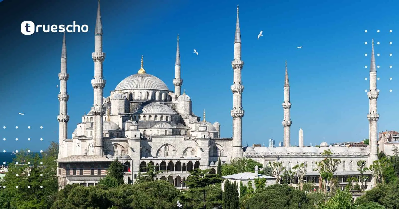 الدراسة في تركيا مجانًا