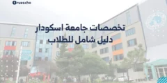 تخصصات جامعة اسكودار: دليل شامل للطلاب