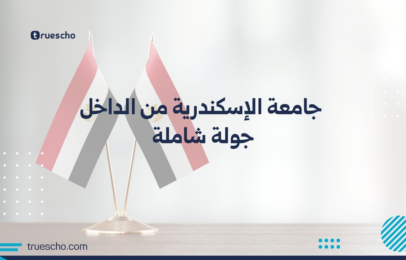 جامعة الإسكندرية