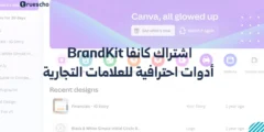 اشتراك كانفا BrandKit | أدوات احترافية للعلامات التجارية