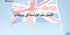 العمل بعد الدراسة في بريطانيا | دليل 2025