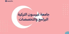 جامعة غيرسون التركية | البرامج والتخصصات 2025