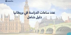 عدد ساعات الدراسة في بريطانيا: دليل 2025 الشامل