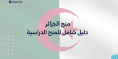 منح الجزائر 2025 | دليل شامل للمنح الدراسية