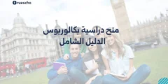 منح دراسية بكالوريوس: الدليل الشامل لعام 2025