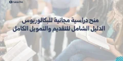منح دراسية مجانية للبكالوريوس 2025| الدليل الشامل للتقديم والتمويل الكامل