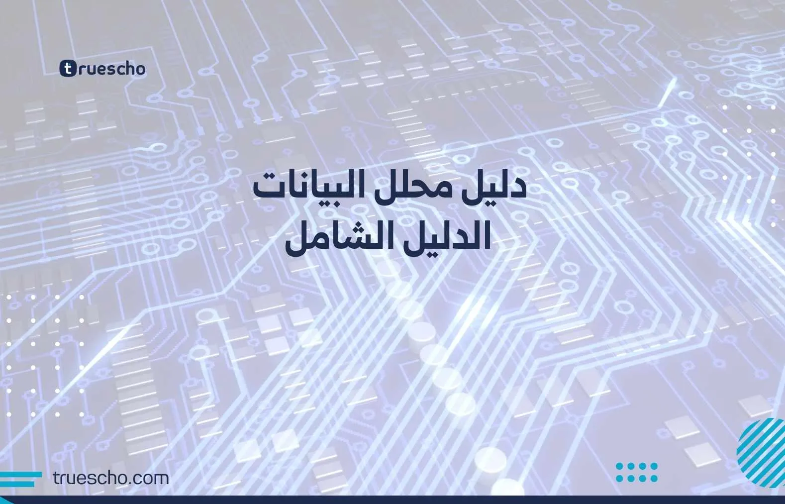 محلل البيانات